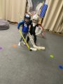 Zimní olympijské hry Hlavatce